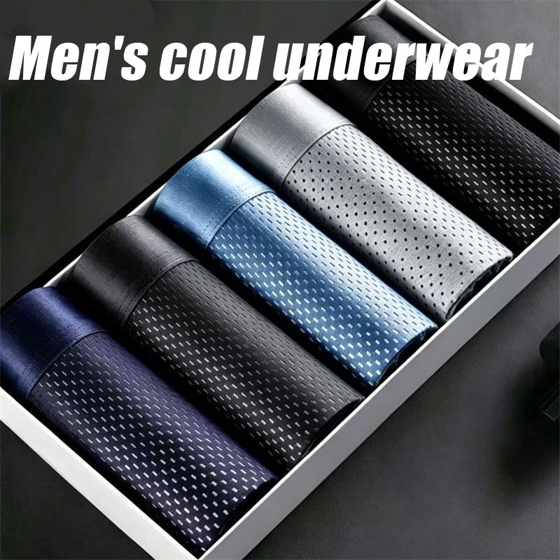 5Pcs/Lot Men's Panties Ice Sil – Multi Pack Underwear Bewertung und Preis