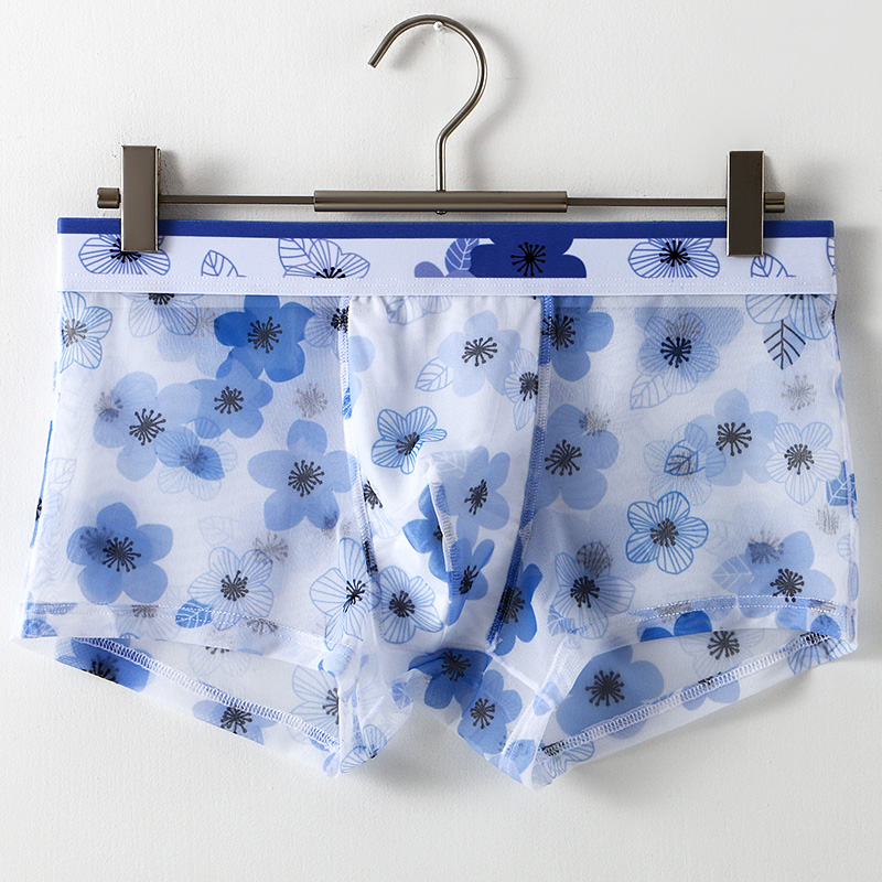 Ultra Thin Transparent Ice Sil – Mesh Sport Boxer Bewertung und Preis
