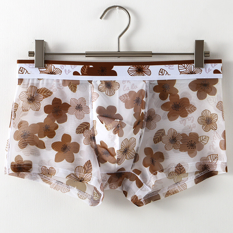 Ultra Thin Transparent Ice Sil – Mesh Sport Boxer Bewertung und Preis