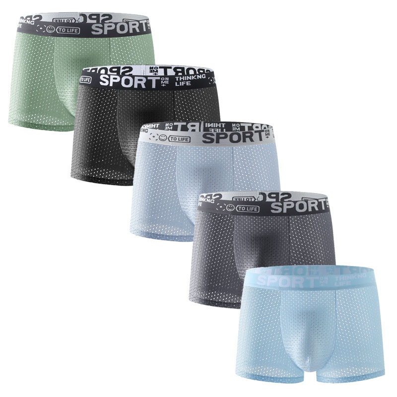 5PCS Men's Ice Silk Mesh Boxer – Mesh Sport Boxer Bewertung und Preis