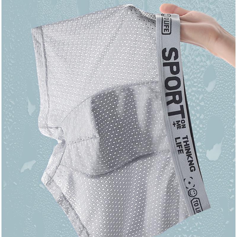 5PCS Men's Ice Silk Mesh Boxer – Mesh Sport Boxer Bewertung und Preis