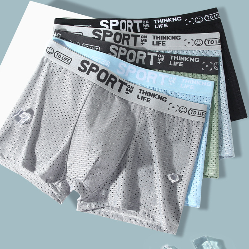 5PCS Men's Ice Silk Mesh Boxer – Mesh Sport Boxer Bewertung und Preis