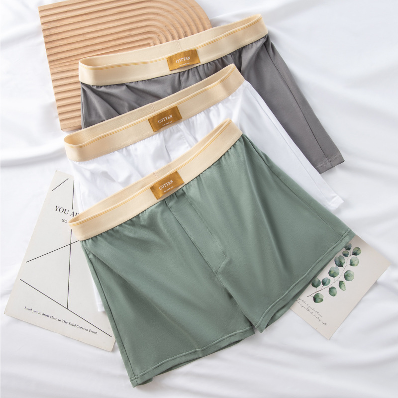 4pcs Male Arrow Pants Men Cott – Boxer Brief Pack Cotton Bewertung und Preis