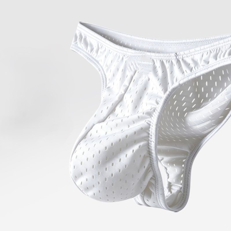 Mesh Ice Silk Men's Underwear  – Mesh Sport Boxer Bewertung und Preis