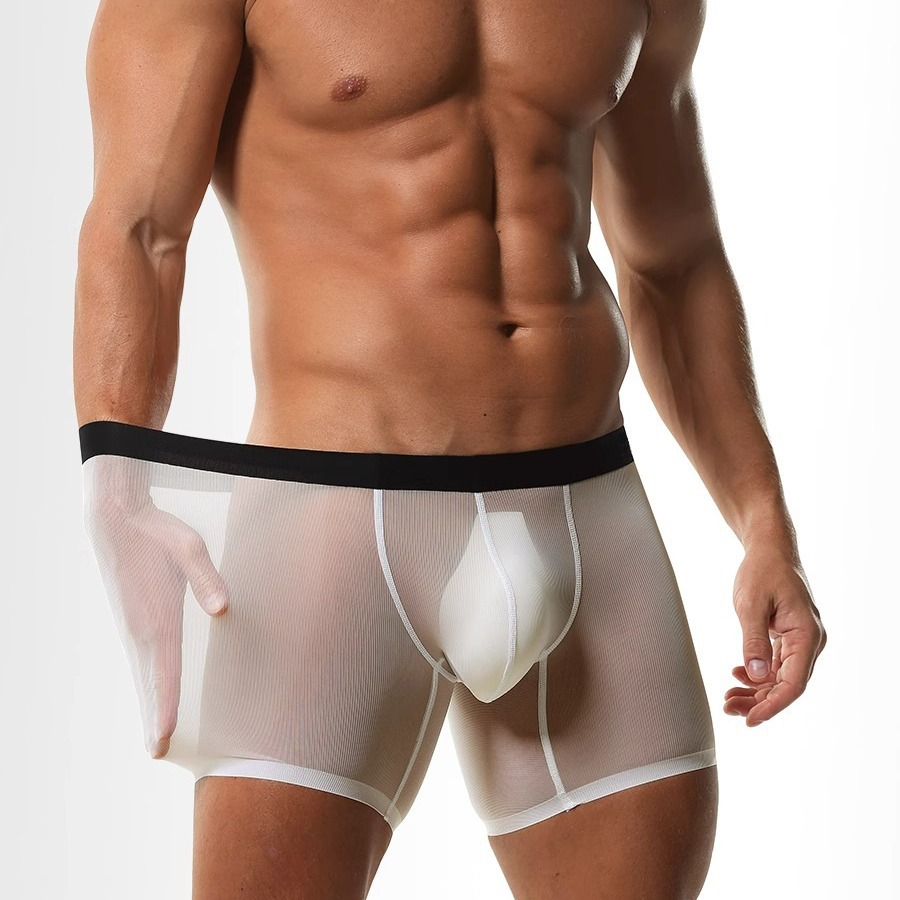 Ice Silk Sheer Mesh Long Leg B – Long Leg Trunk Men Bewertung und Preis
