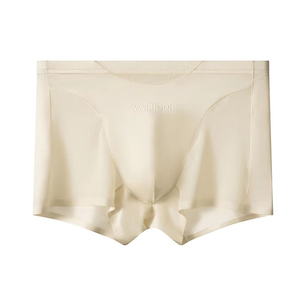 Simple Mesh Ice Silk Underwear – Mesh Sport Boxer Bewertung und Preis