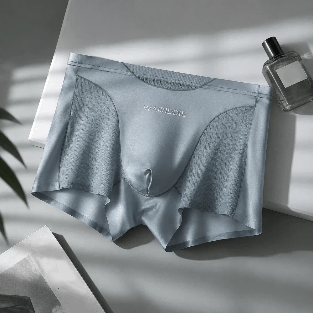 Simple Mesh Ice Silk Underwear – Mesh Sport Boxer Bewertung und Preis