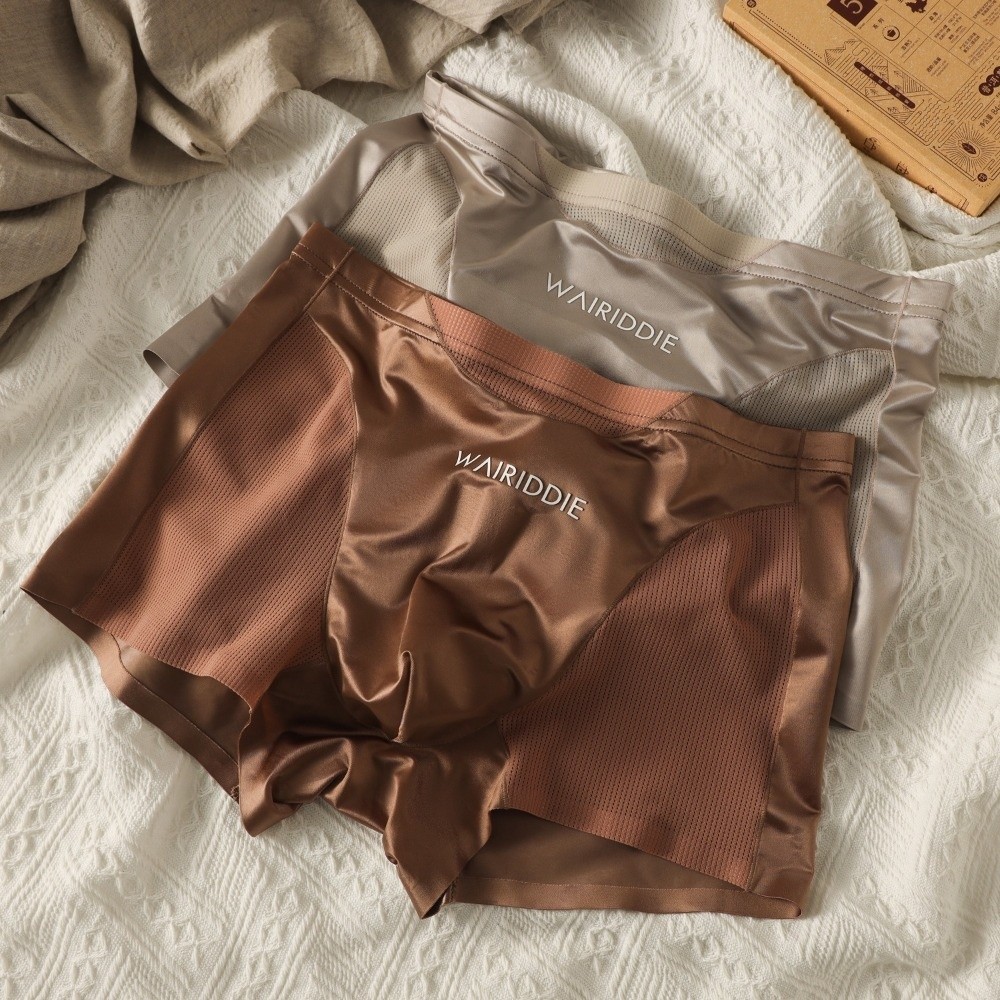 Simple Mesh Ice Silk Underwear – Mesh Sport Boxer Bewertung und Preis